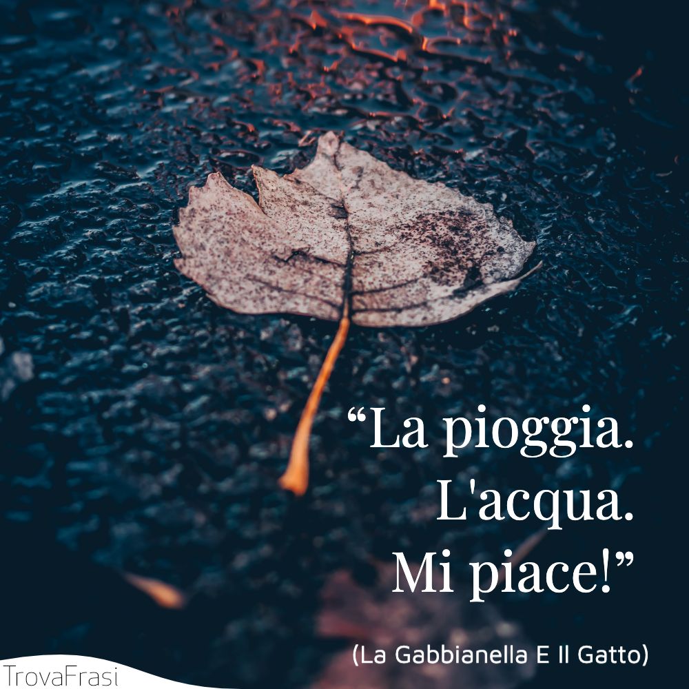“La pioggia. L'acqua. Mi piace!” 