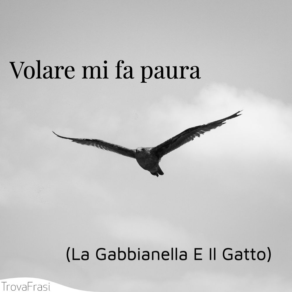 Volare mi fa paura