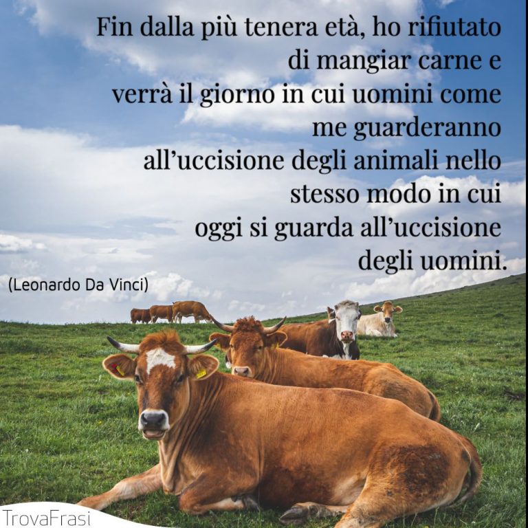Frasi sugli animali e il rispetto