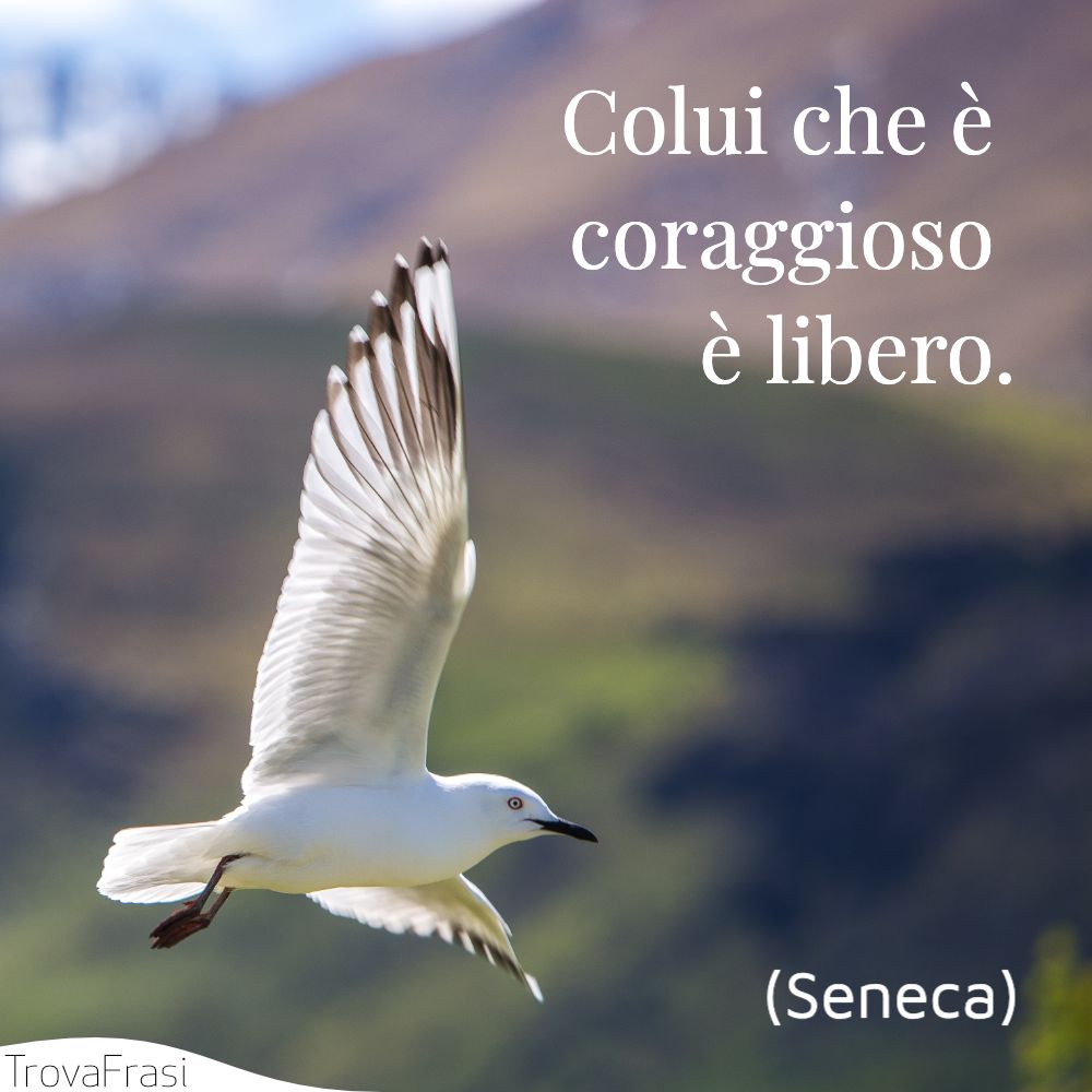 Colui che è coraggioso è libero.
