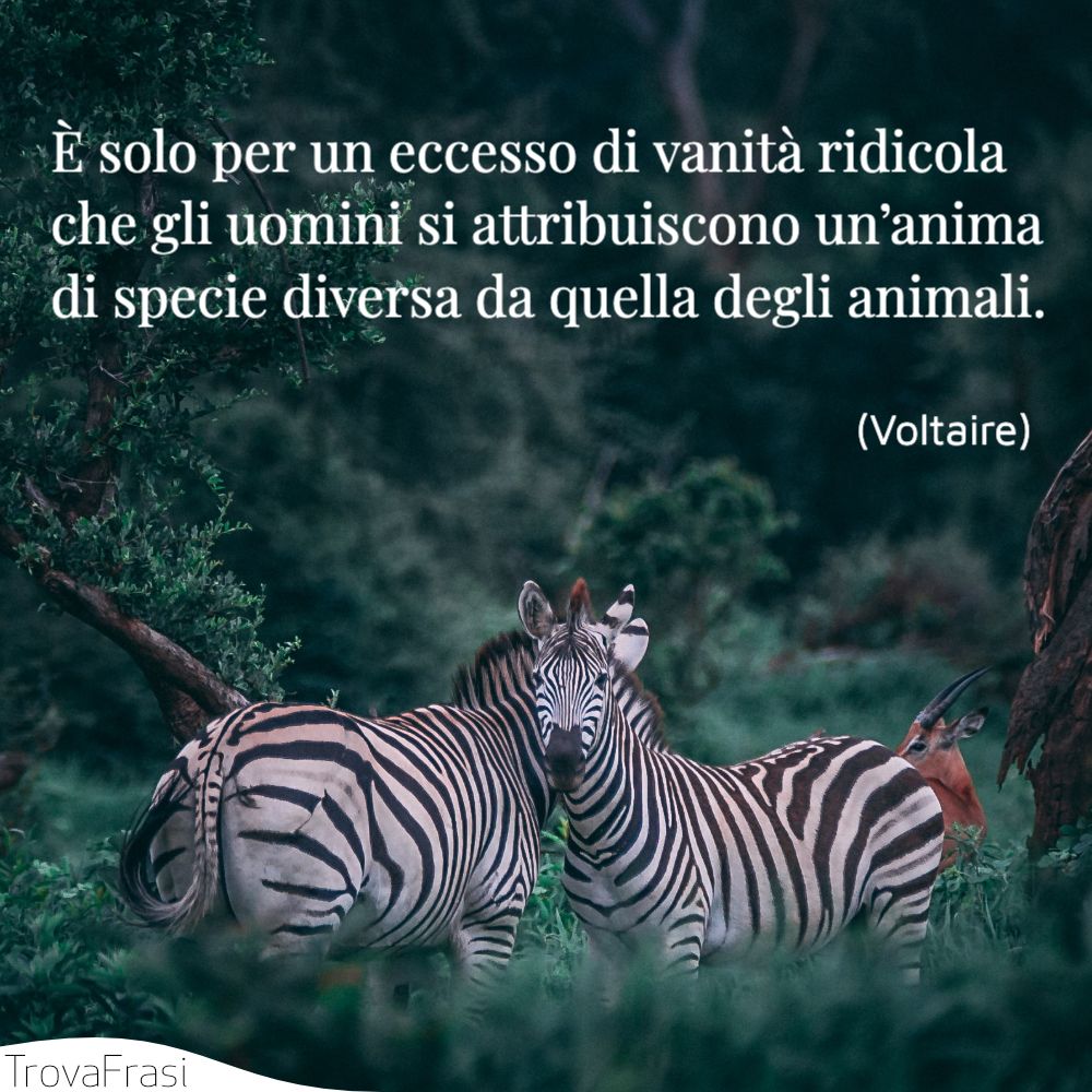 Frasi sugli animali e il rispetto della loro vita - TrovaFrasi