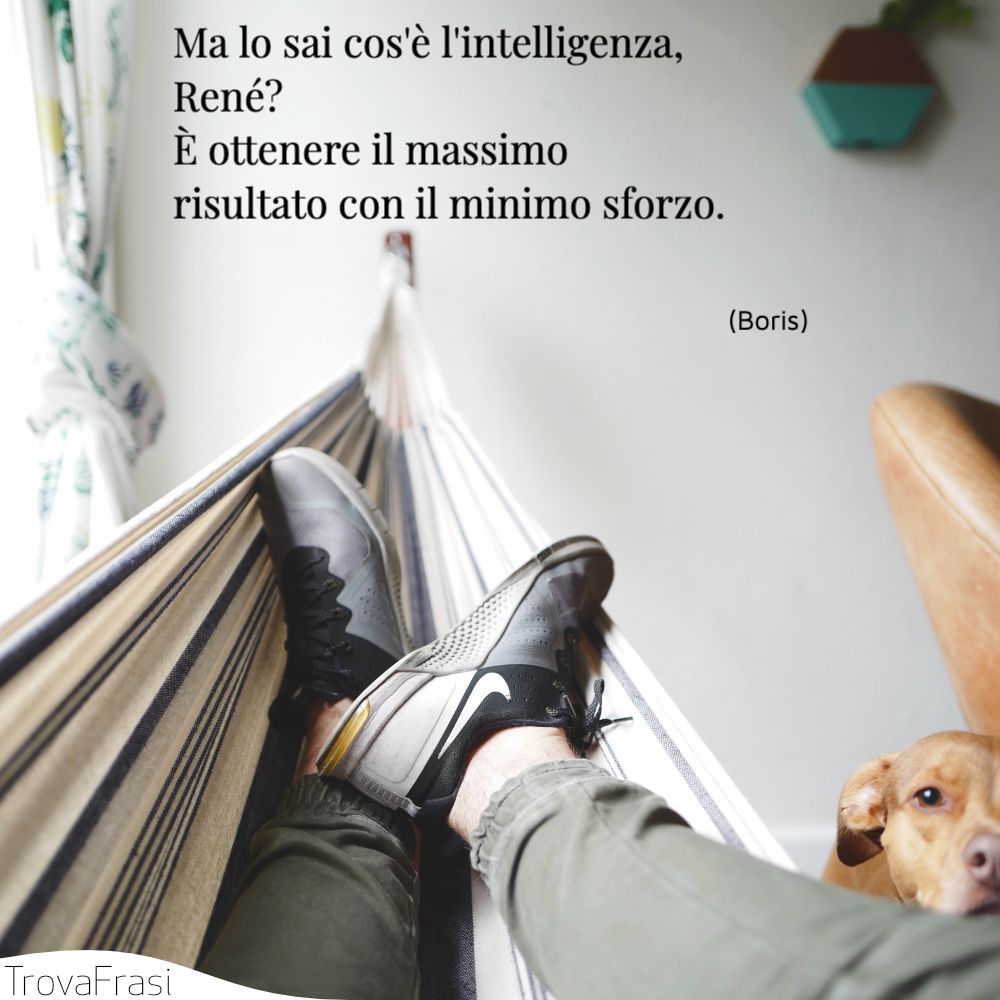 Ma lo sai cos'è l'intelligenza, René? È ottenere il massimo risultato con il minimo sforzo.