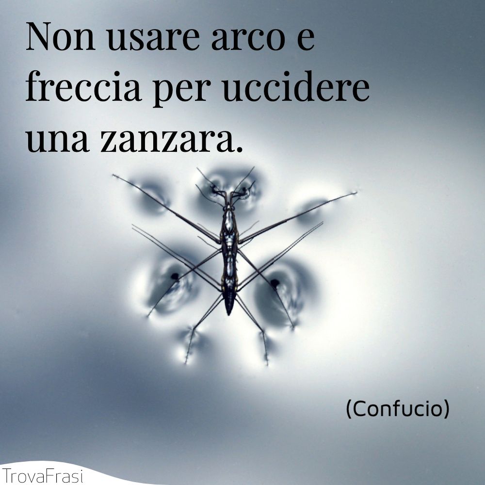 Non usare arco e freccia per uccidere una zanzara.