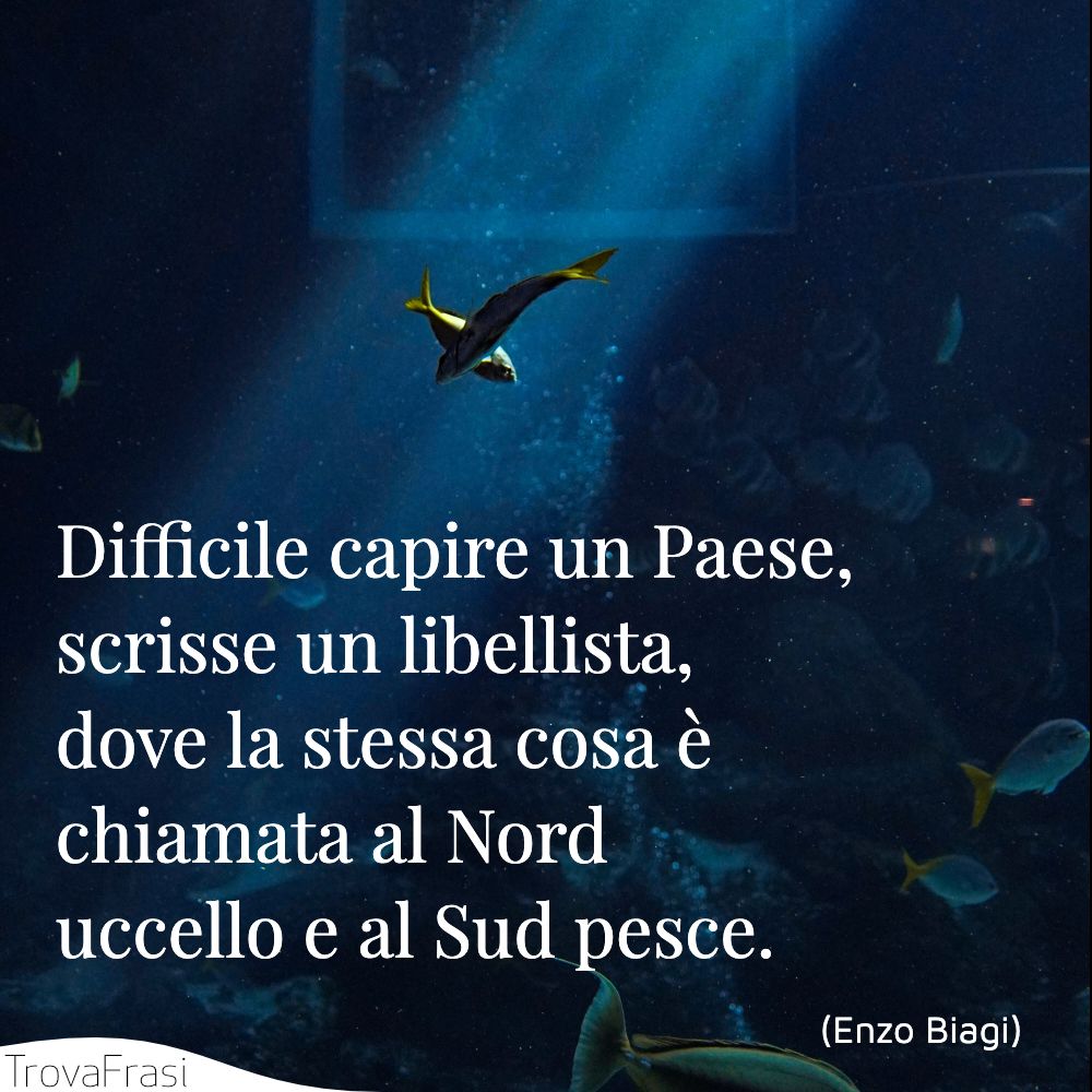 Difficile capire un Paese, scrisse un libellista, dove la stessa cosa è chiamata al Nord uccello e al Sud pesce.