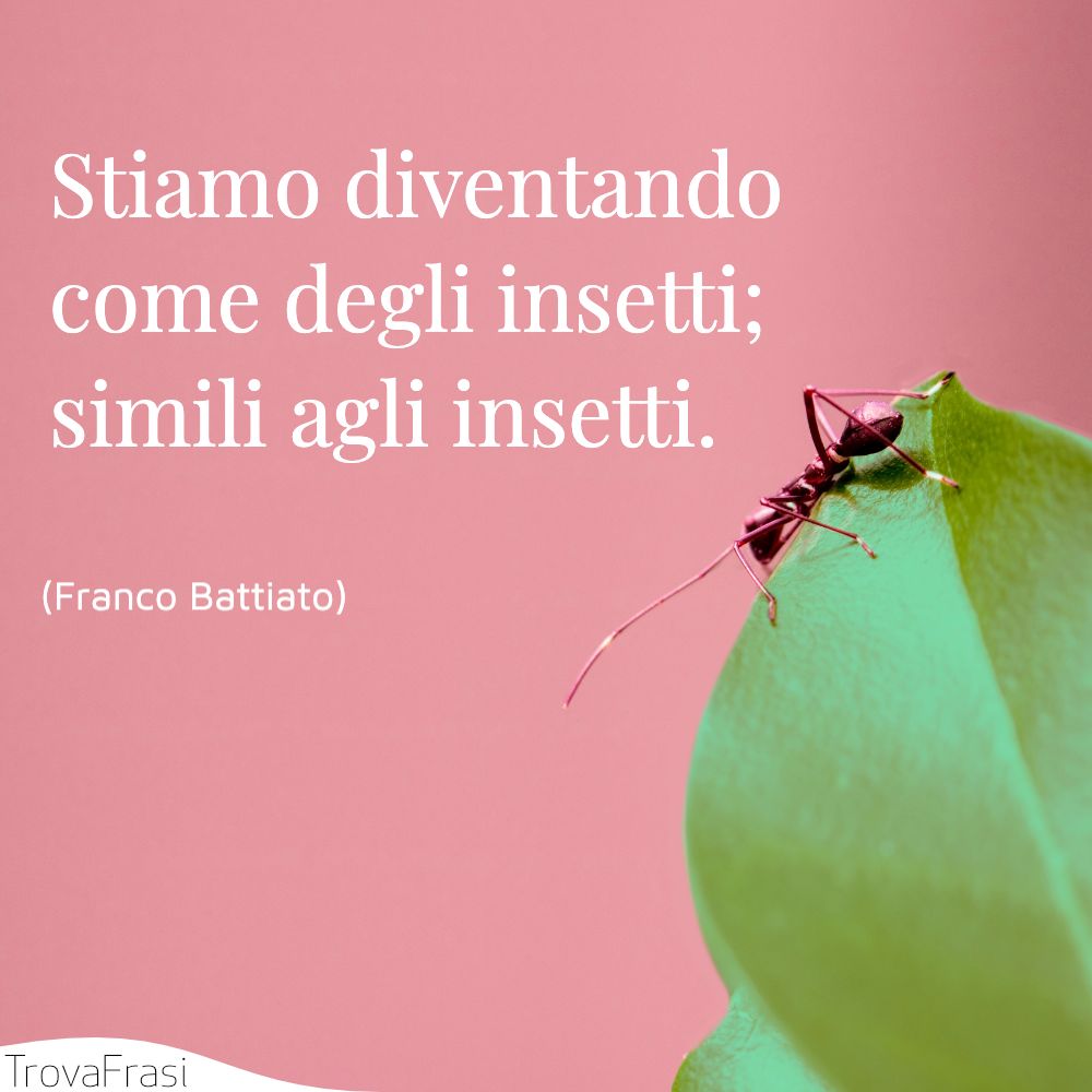Stiamo diventando come degli insetti; simili agli insetti.