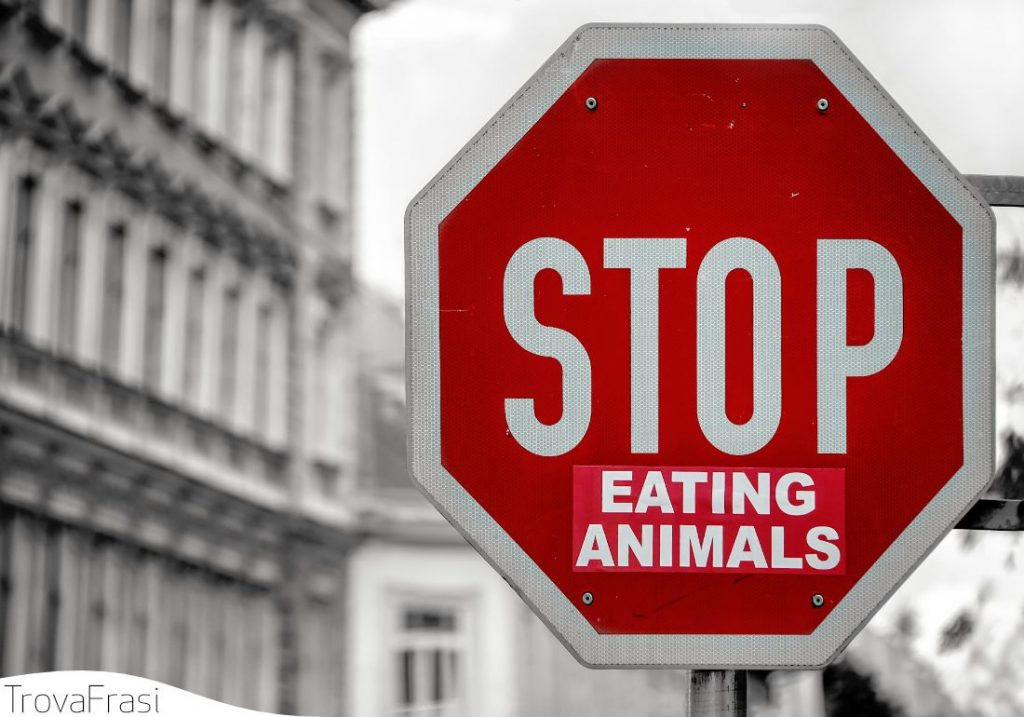 frasi sul vegetarianismo