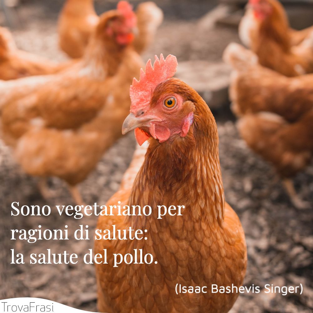 Sono vegetariano per ragioni di salute: la salute del pollo.