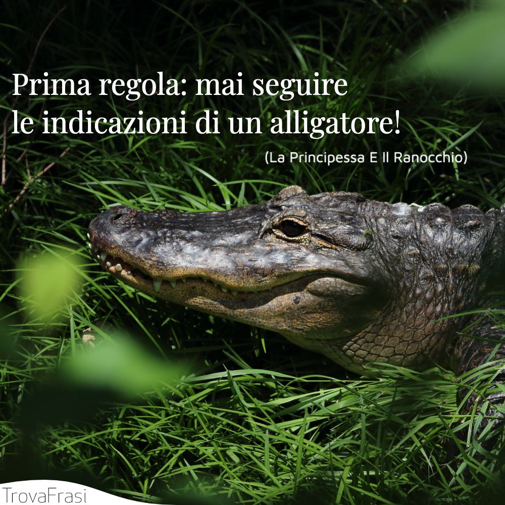 Prima regola: mai seguire le indicazioni di un alligatore!