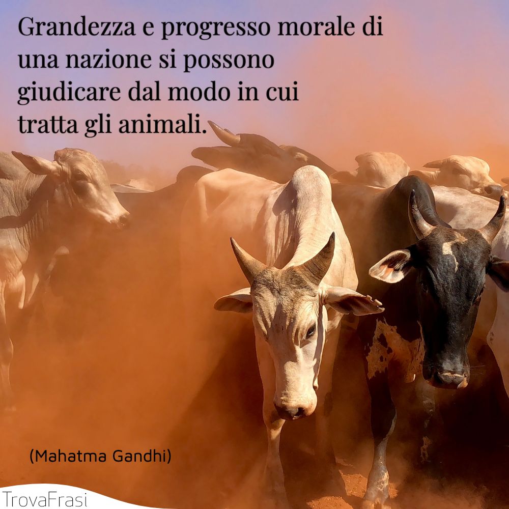 Grandezza e progresso morale di una nazione si possono giudicare dal modo in cui tratta gli animali.