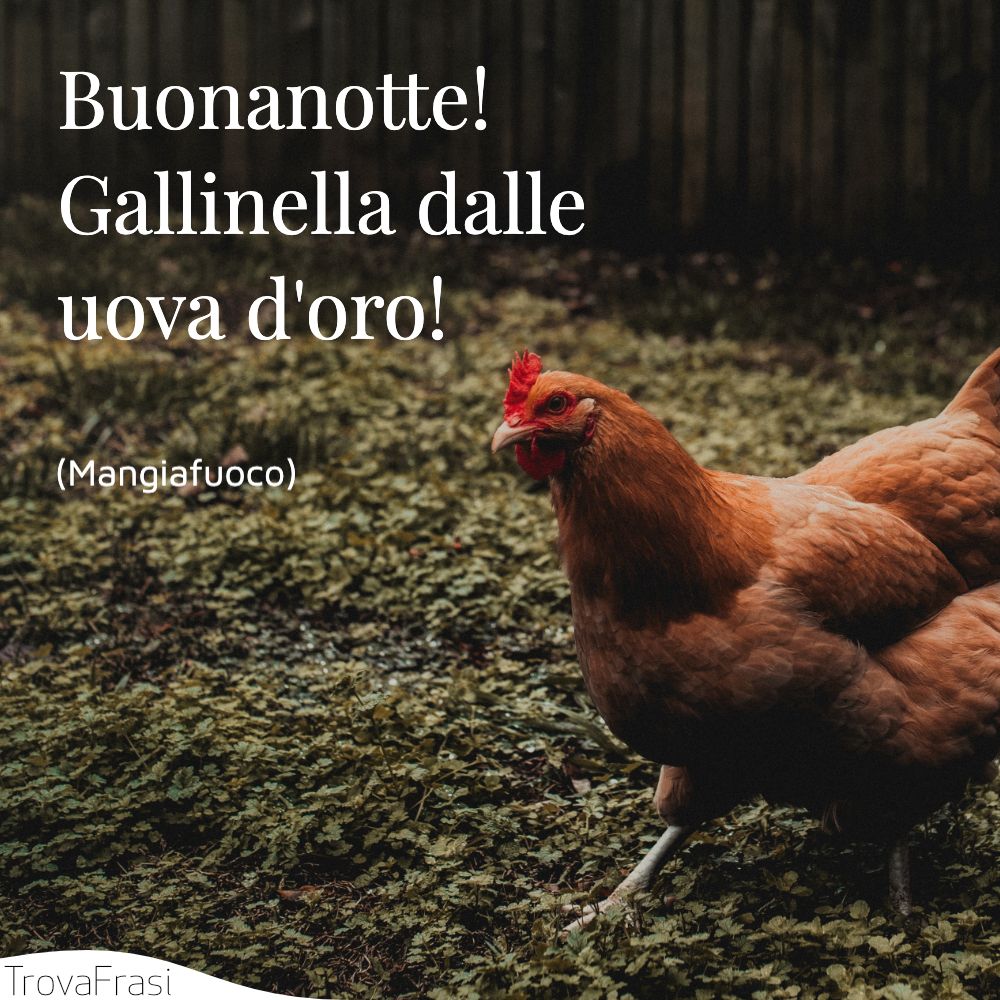 Buonanotte! Gallinella dalle uova d'oro! 