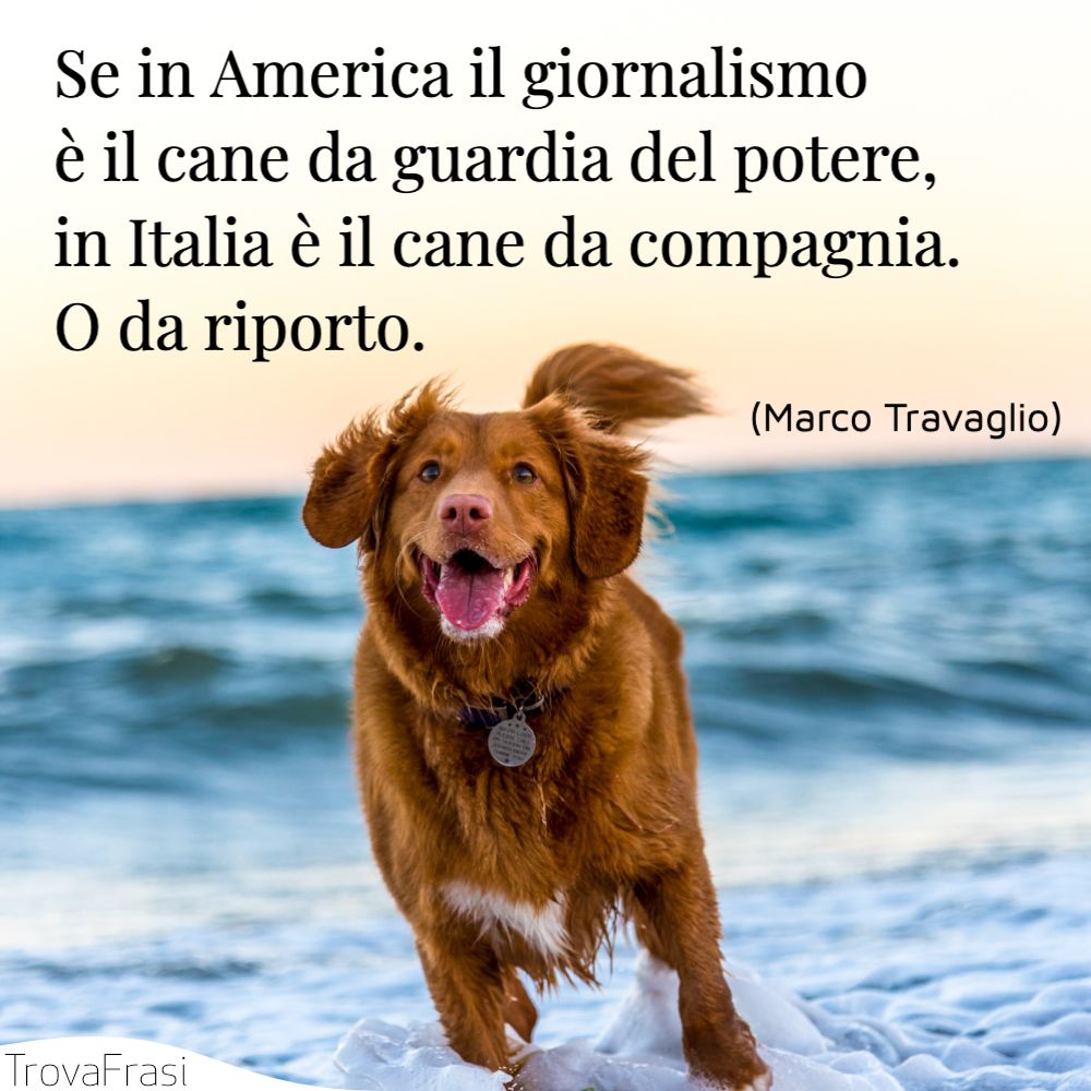 Se in America il giornalismo è il cane da guardia del potere, in Italia è il cane da compagnia. O da riporto.