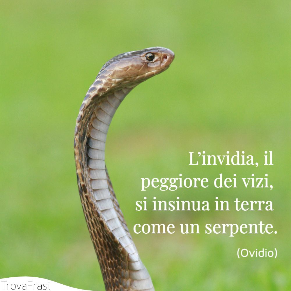 L’invidia, il peggiore dei vizi, si insinua in terra come un serpente.