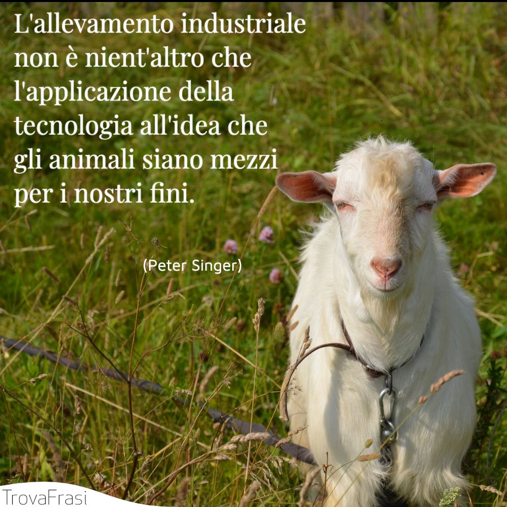 L'allevamento industriale non è nient'altro che l'applicazione della tecnologia all'idea che gli animali siano mezzi per i nostri fini.