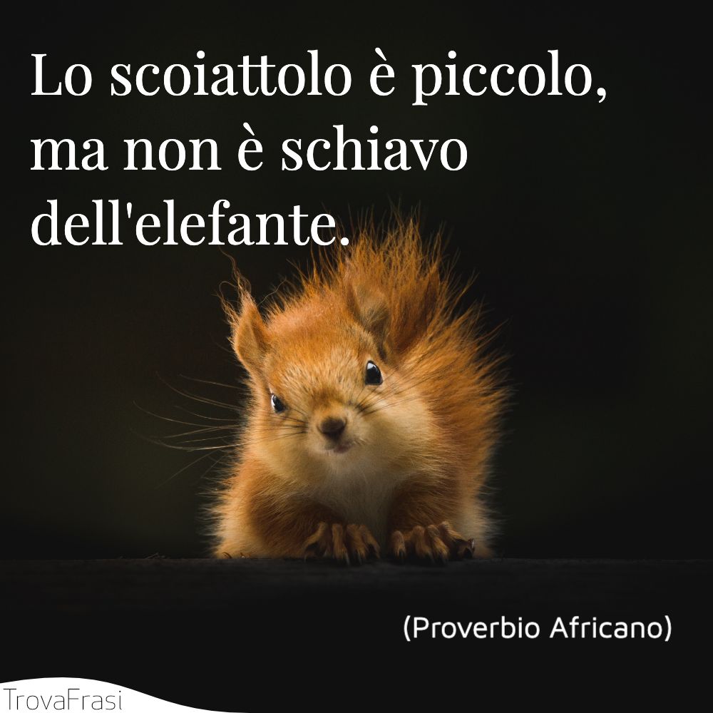 Lo scoiattolo è piccolo, ma non è schiavo dell'elefante.
