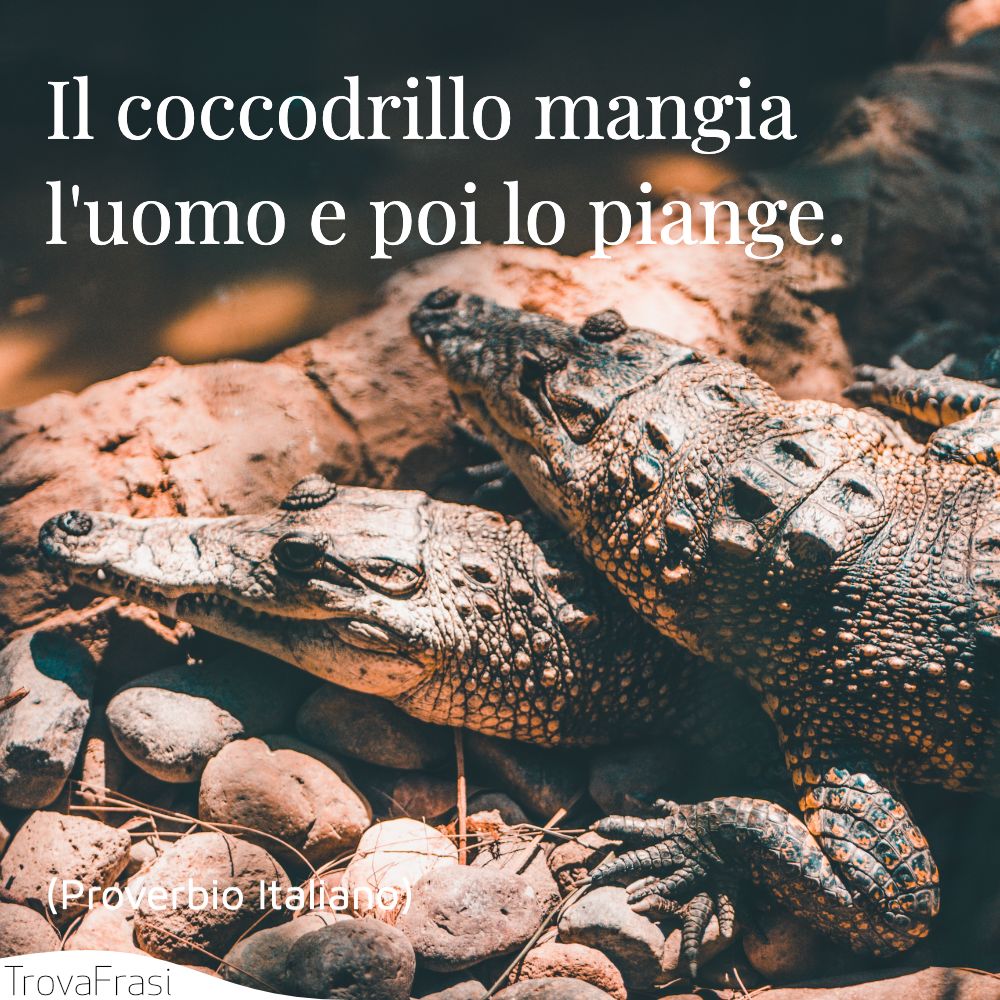 Il coccodrillo mangia l'uomo e poi lo piange.