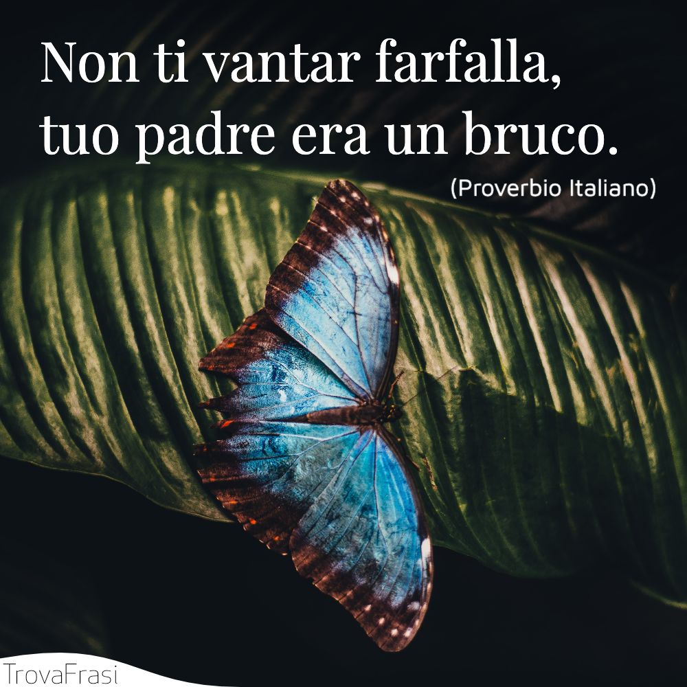 Non ti vantar farfalla, tuo padre era un bruco.