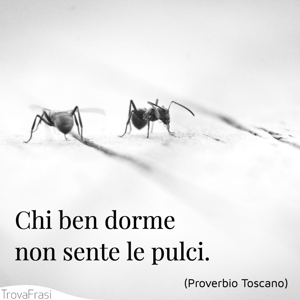 Chi ben dorme non sente le pulci.