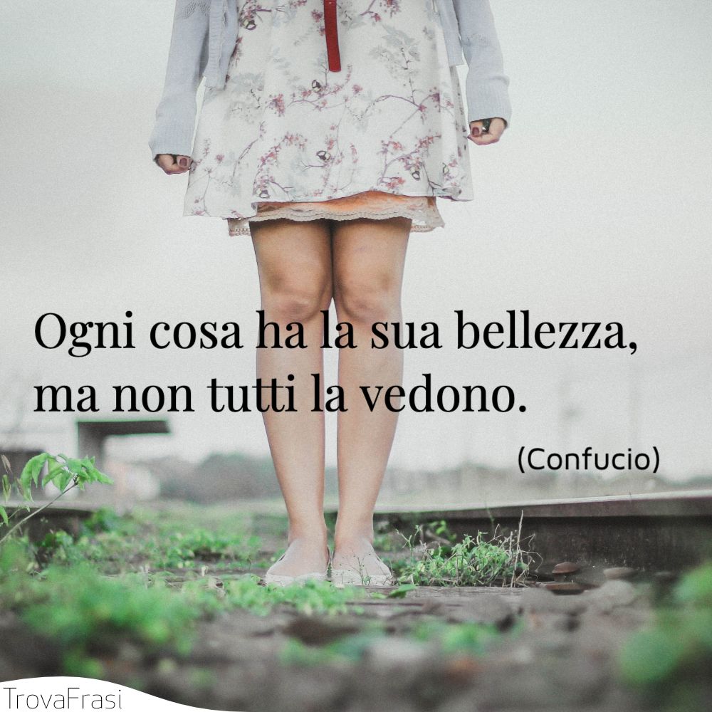 Ogni cosa ha la sua bellezza, ma non tutti la vedono.