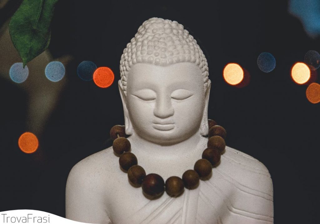 frasi sulla saggezza