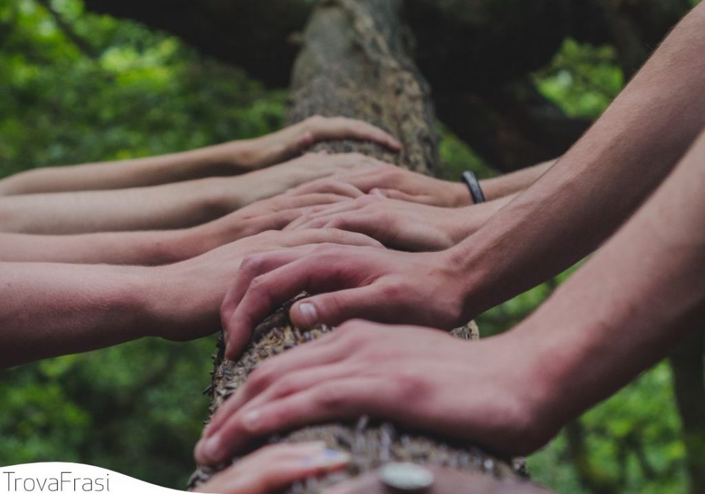 frasi sulla solidarietà