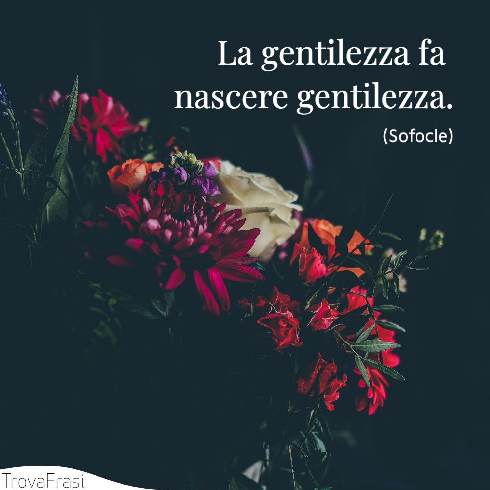 La gentilezza fa nascere gentilezza.