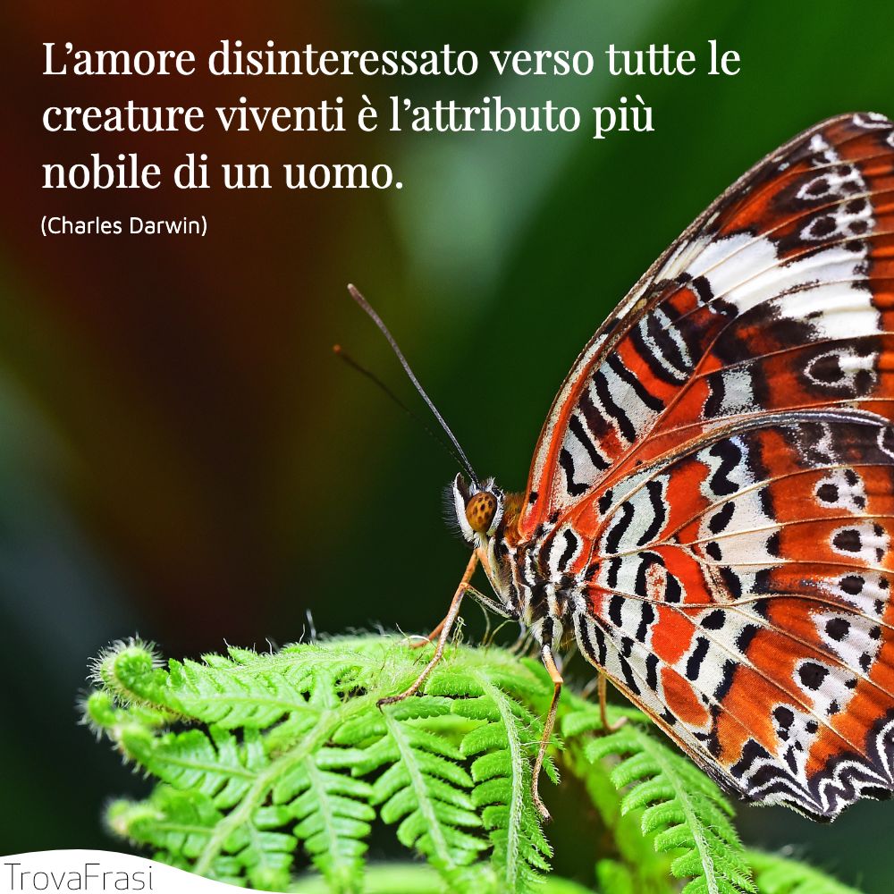 L’amore disinteressato verso tutte le creature viventi è l’attributo più nobile di un uomo.