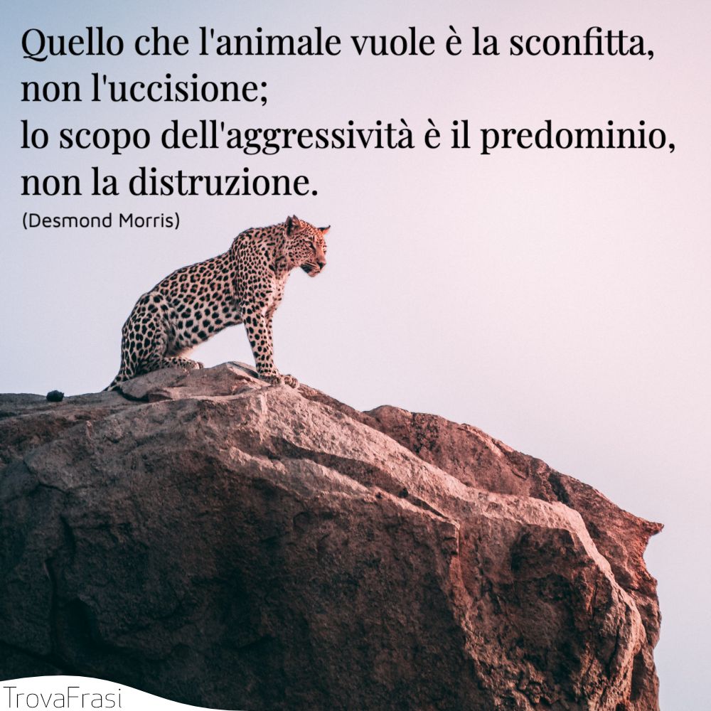 Quello che l'animale vuole è la sconfitta, non l'uccisione; lo scopo dell'aggressività è il predominio, non la distruzione.
