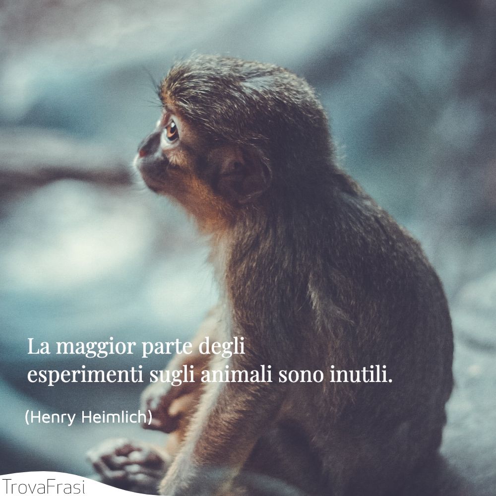 La maggior parte degli esperimenti sugli animali sono inutili.