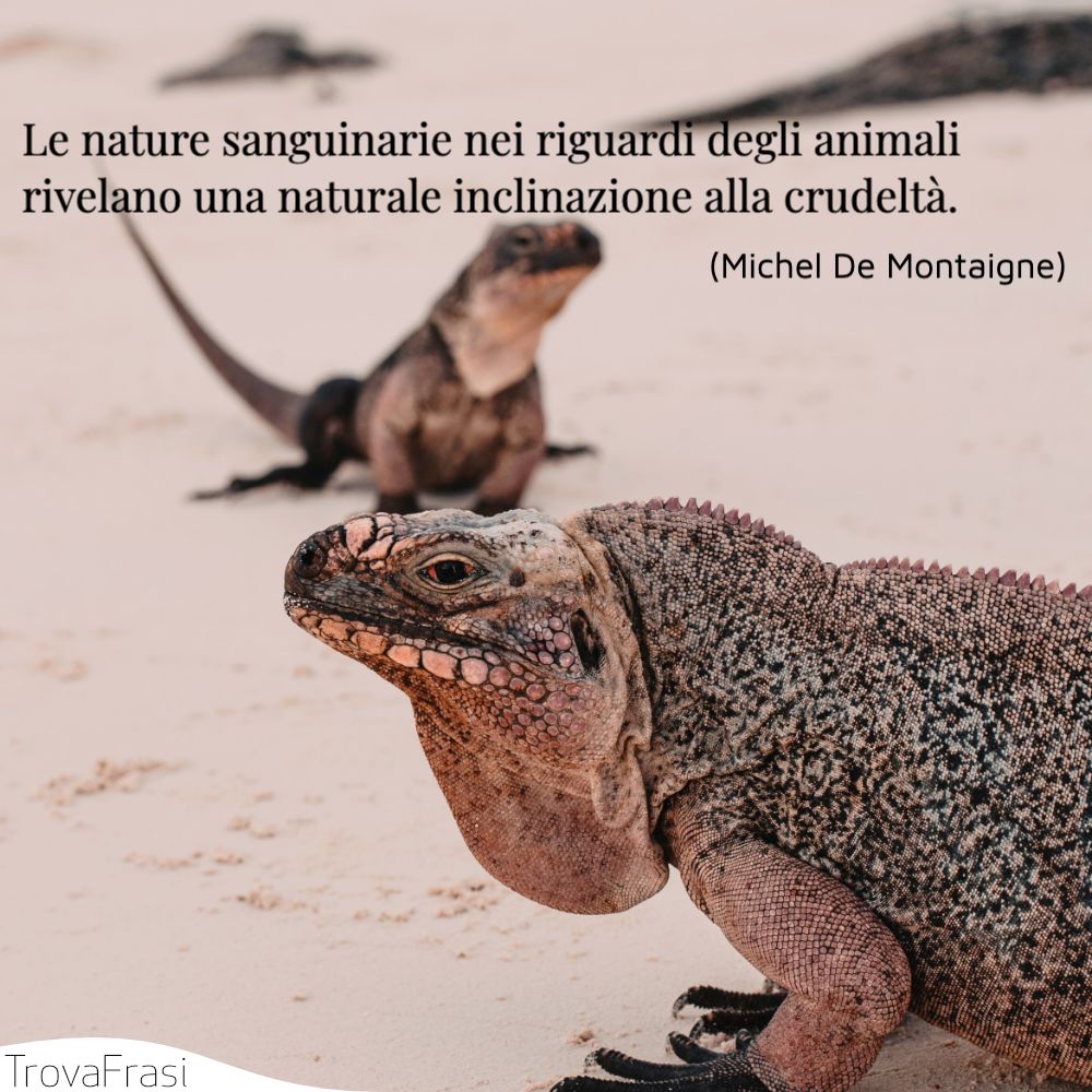 Le nature sanguinarie nei riguardi degli animali rivelano una naturale inclinazione alla crudeltà.