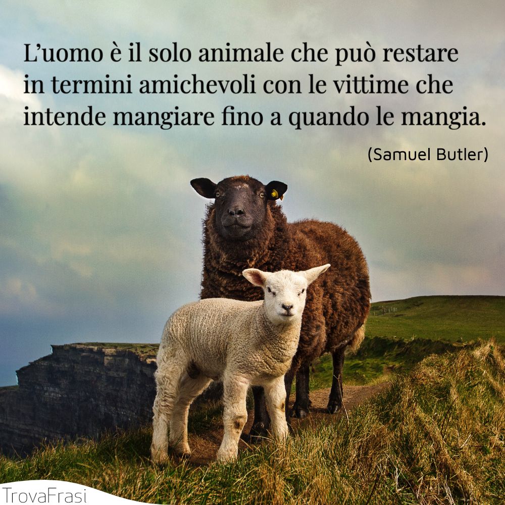 Frasi Sui Diritti Degli Animali Difendere I Nostri Amici A 4 Zampe Trovafrasi