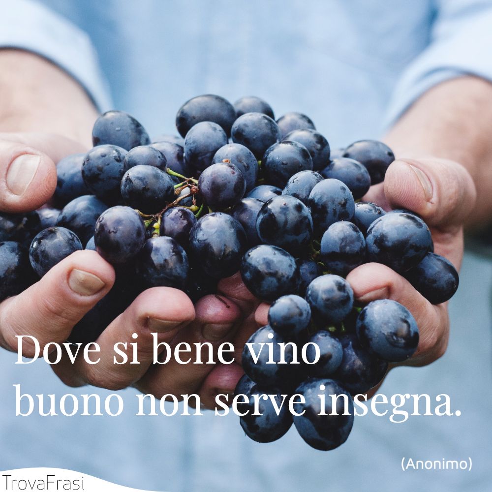 Dove si bene vino buono non serve insegna.
