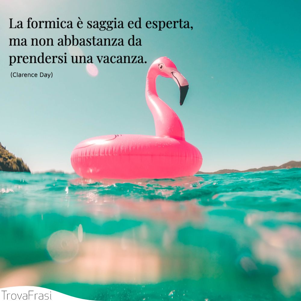 La formica è saggia ed esperta, ma non abbastanza da prendersi una vacanza.