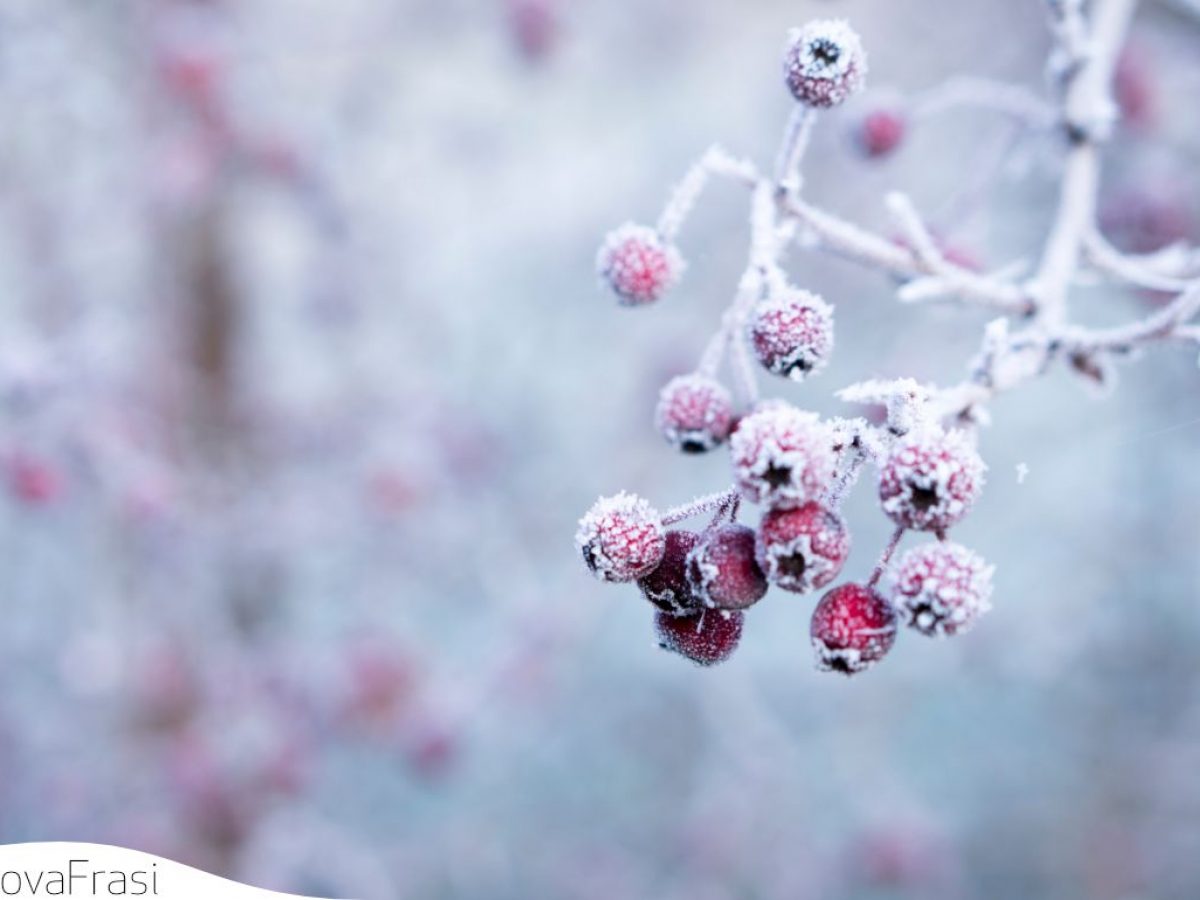 Frasi Sull Inverno E Il Suo Significato Nascosto Trovafrasi