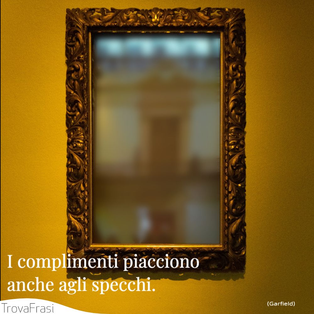 I complimenti piacciono anche agli specchi.