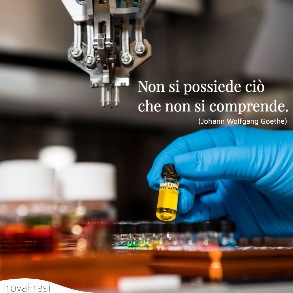 Non si possiede ciò che non si comprende.