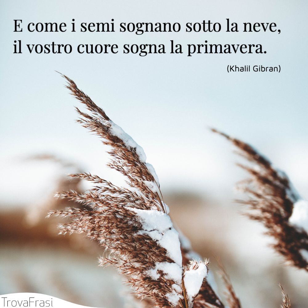 E come i semi sognano sotto la neve, il vostro cuore sogna la primavera.