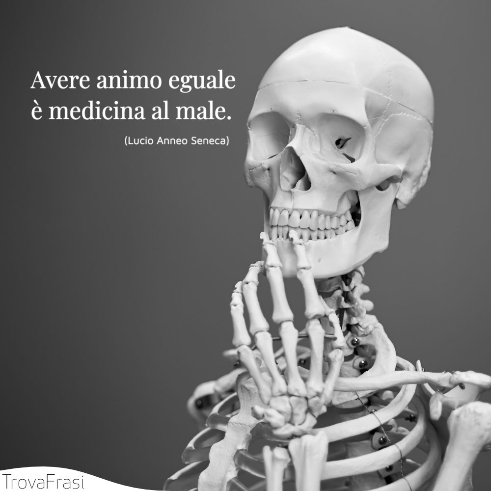 Avere animo eguale è medicina al male.