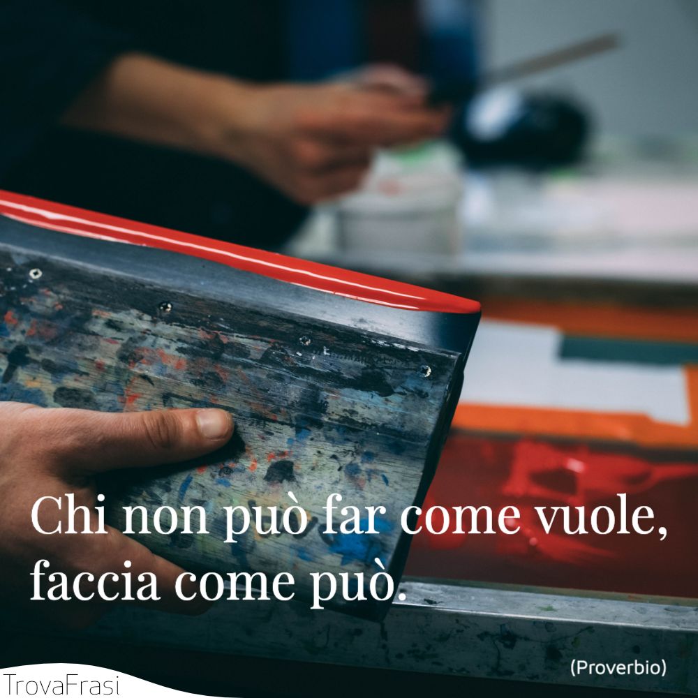 Chi non può far come vuole, faccia come può.