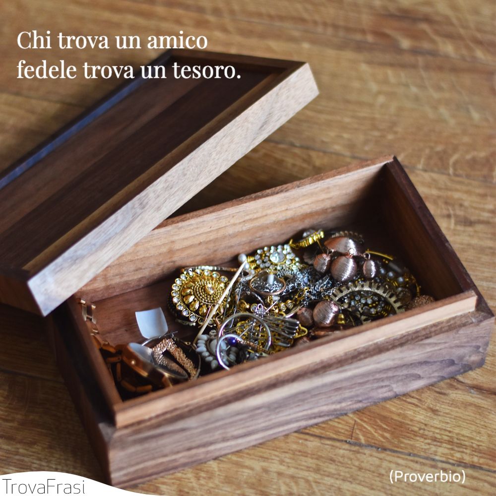 Chi trova un amico fedele trova un tesoro.