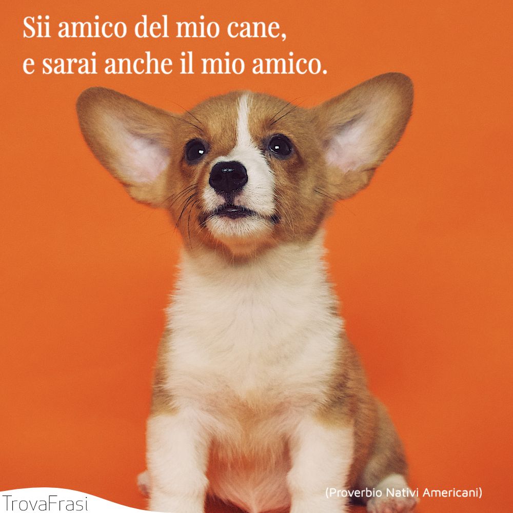 Sii amico del mio cane, e sarai anche il mio amico.