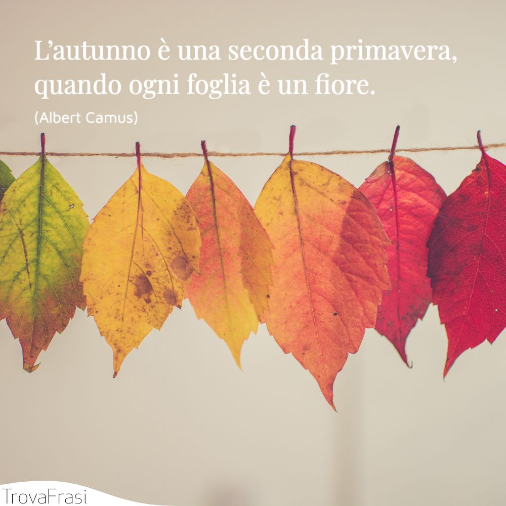 Frasi Sull Autunno Quando L Estate Ci Lascia Trovafrasi