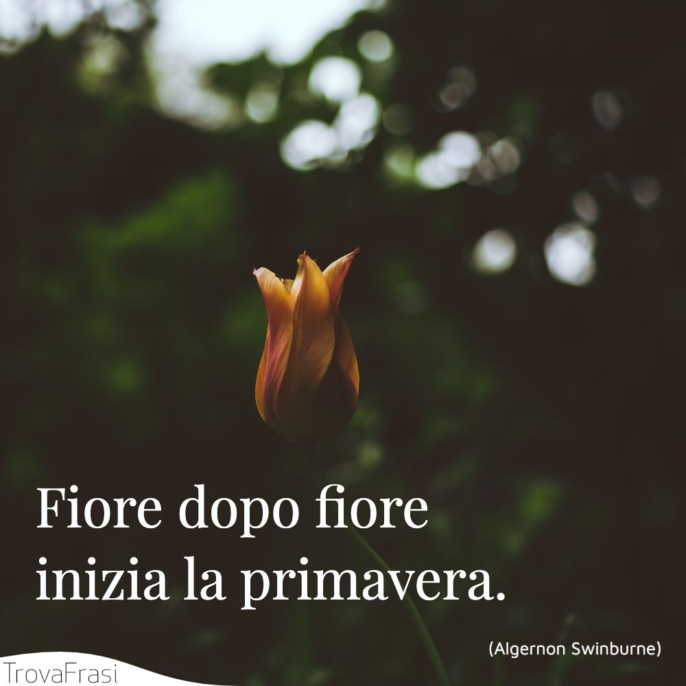 Fiore dopo fiore inizia la primavera.