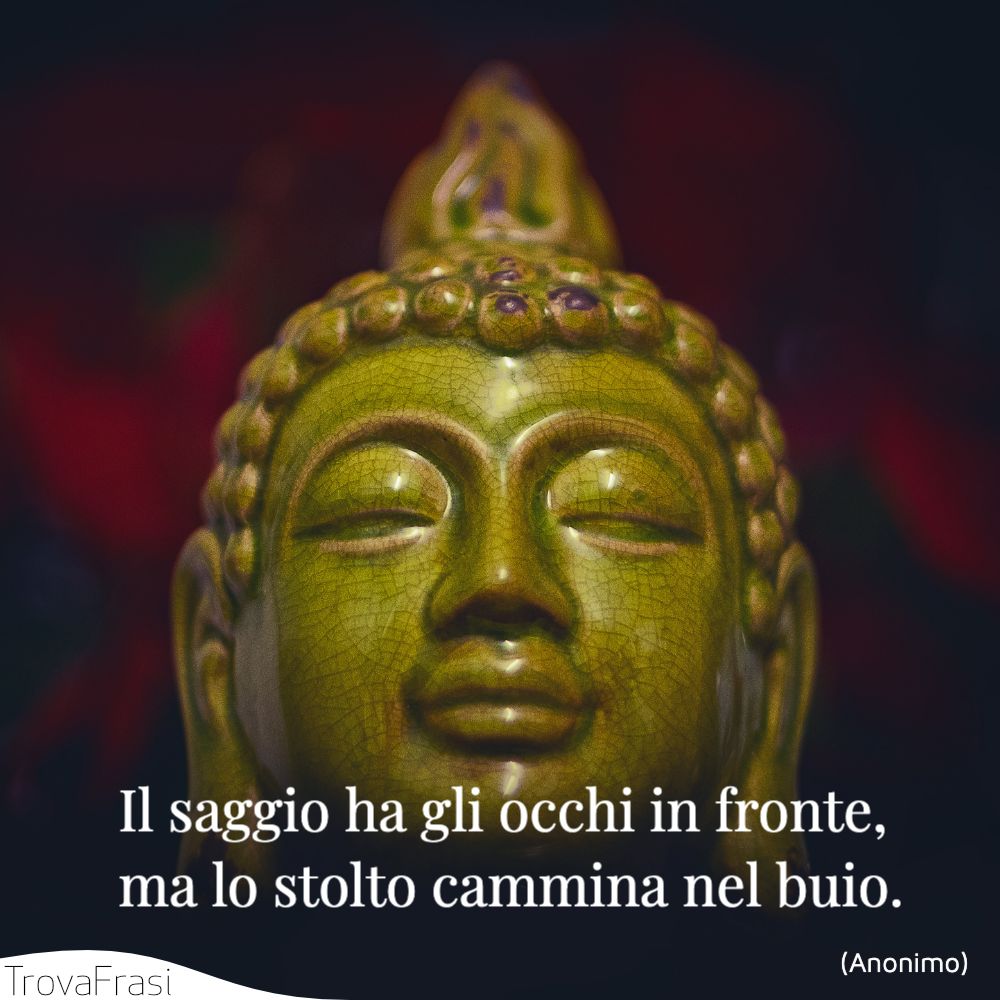Il saggio ha gli occhi in fronte, ma lo stolto cammina nel buio.