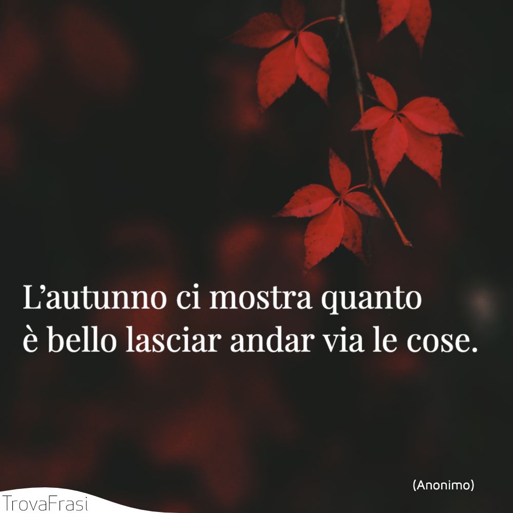 L’autunno ci mostra quanto è bello lasciar andar via le cose.