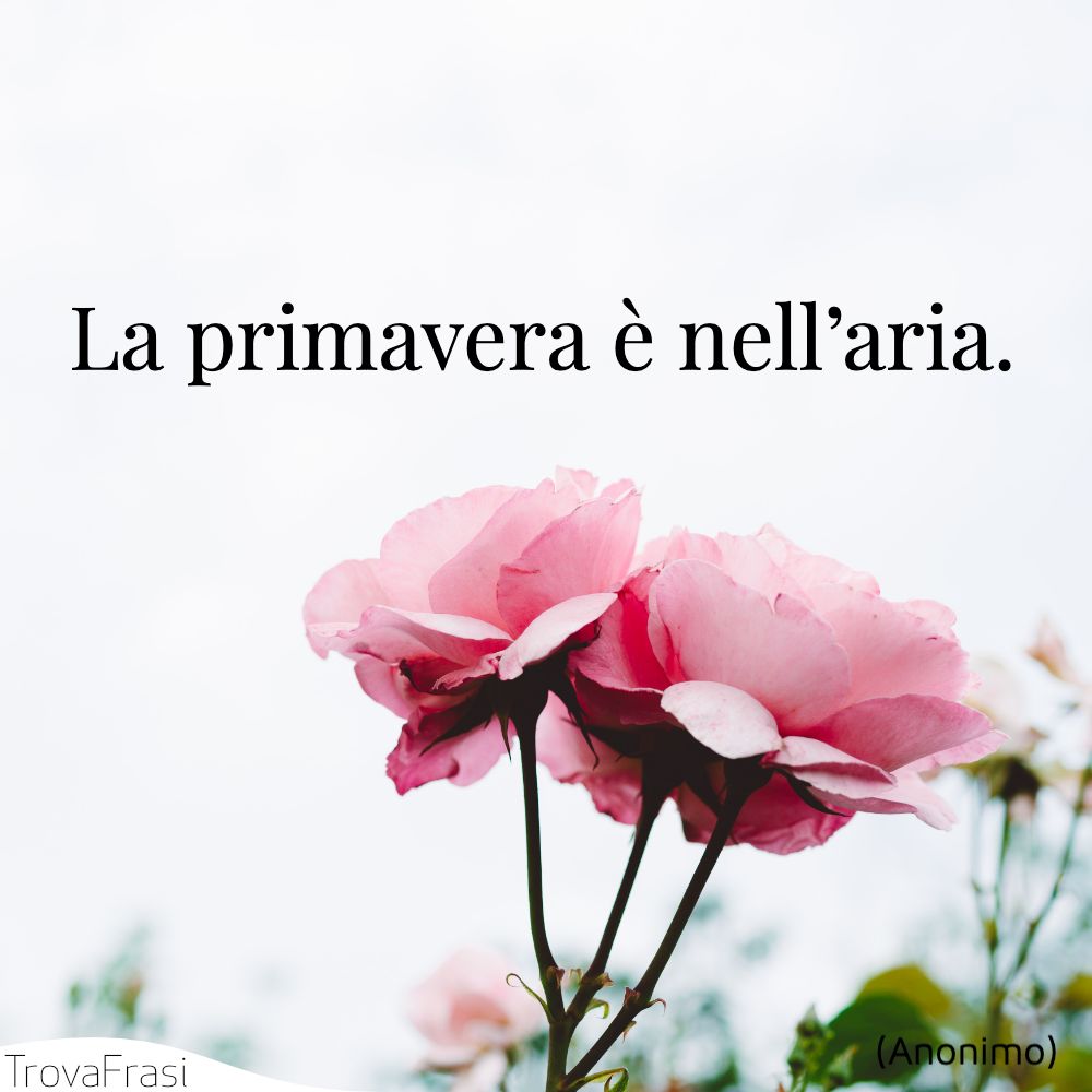 La primavera è nell’aria.