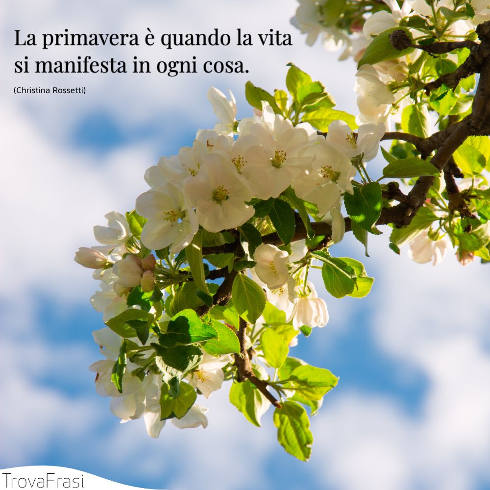 La primavera è quando la vita si manifesta in ogni cosa.