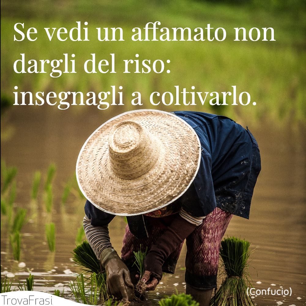 Se vedi un affamato non dargli del riso: insegnagli a coltivarlo.