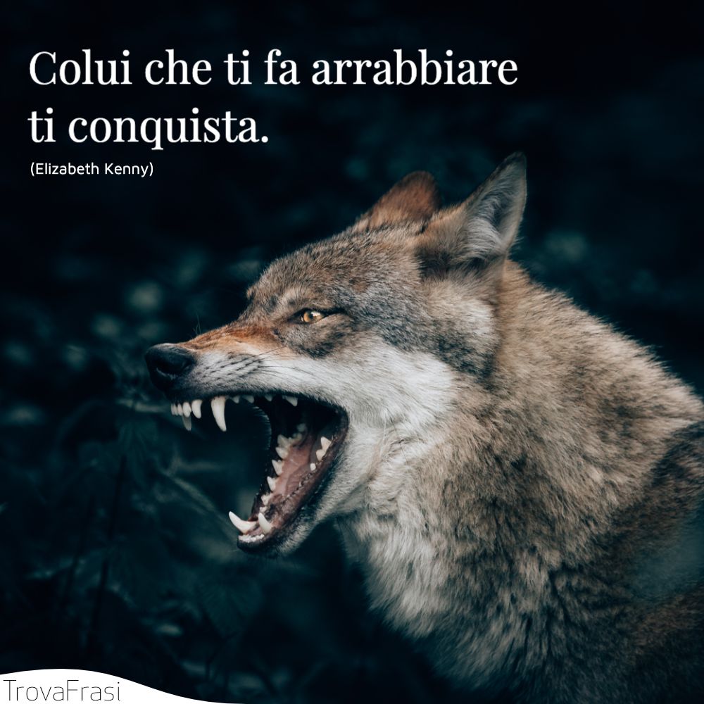 Colui che ti fa arrabbiare ti conquista.