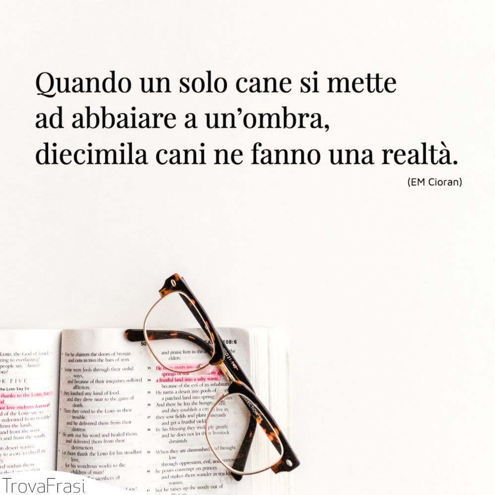 Quando un solo cane si mette ad abbaiare a un’ombra, diecimila cani ne fanno una realtà.
