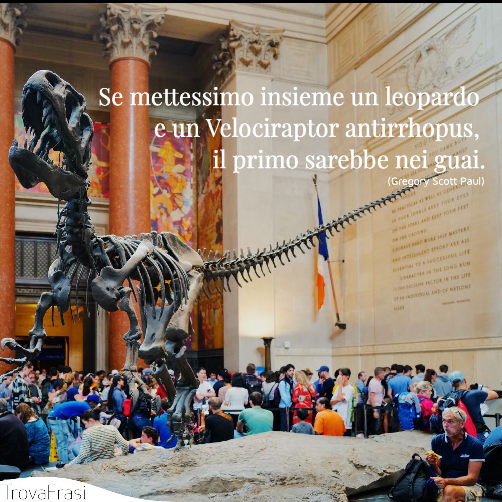 Se mettessimo insieme un leopardo e un Velociraptor antirrhopus, il primo sarebbe nei guai.
